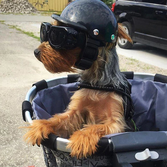 Dog and Cat Motorcycle Helmet with Sunglasses F2