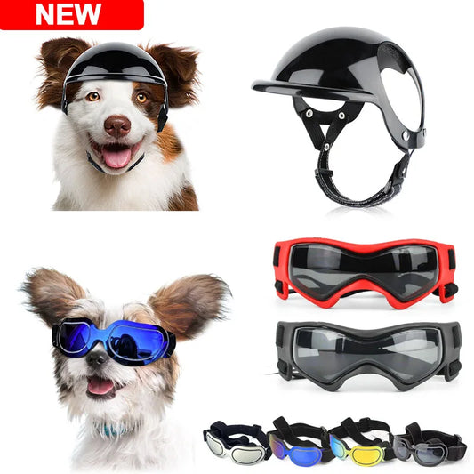 Dog and Cat Helmet with Sunglasses